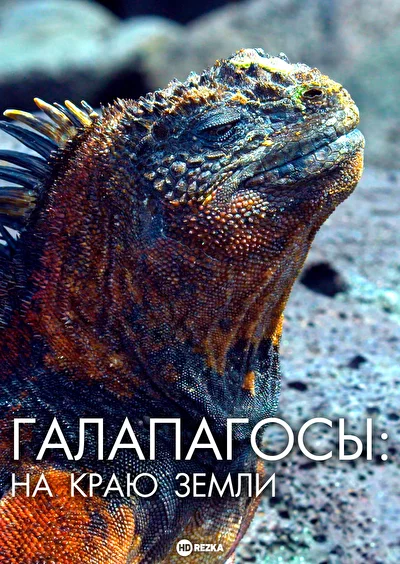 Постер к Галапагосы: На краю земли