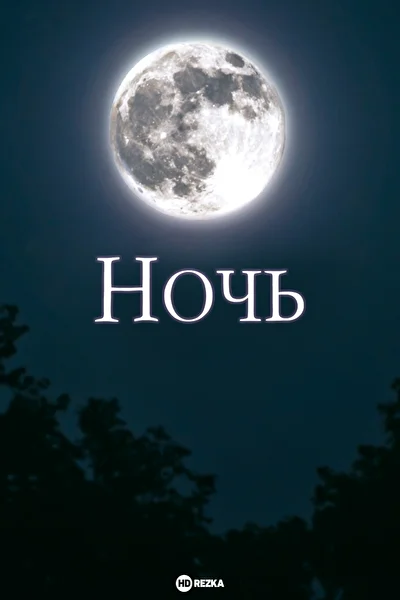 Постер к Ночь